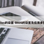bios的设置-BIOS的设置及应用步骤