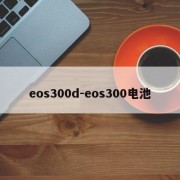eos300d-eos300电池
