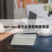 npc-npc是什么意思网络用语