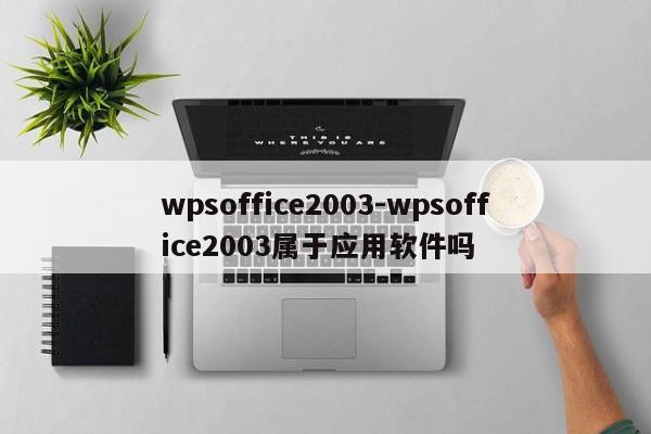 wpsoffice2003-wpsoffice2003属于应用软件吗  第1张