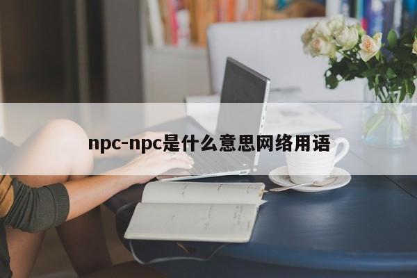 npc-npc是什么意思网络用语  第1张