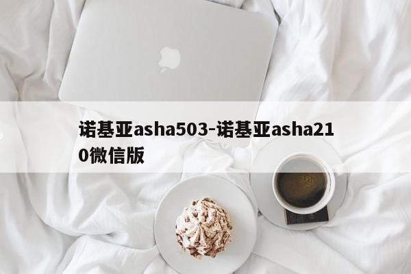 诺基亚asha503-诺基亚asha210微信版  第1张