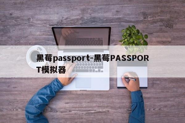 黑莓passport-黑莓PASSPORT模拟器  第1张