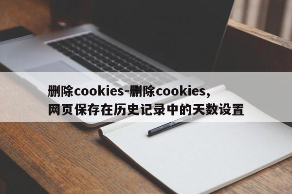 删除cookies-删除cookies,网页保存在历史记录中的天数设置  第1张