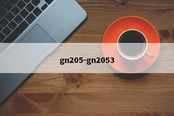 gn205-gn2053  第1张