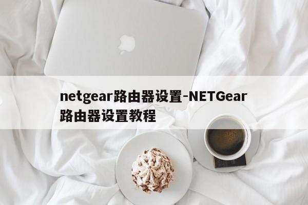 netgear路由器设置-NETGear路由器设置教程  第1张