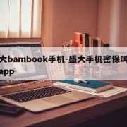 盛大bambook手机-盛大手机密保叫什么app