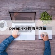 ppsap.exe的简单介绍