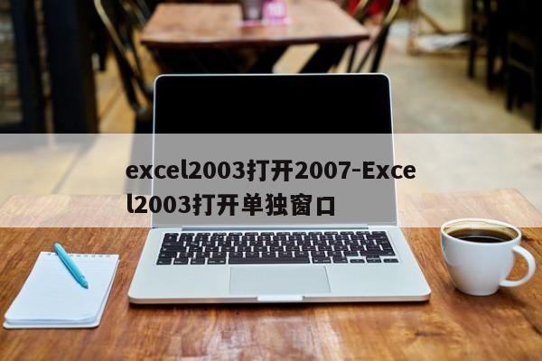 excel2003打开2007-Excel2003打开单独窗口  第1张